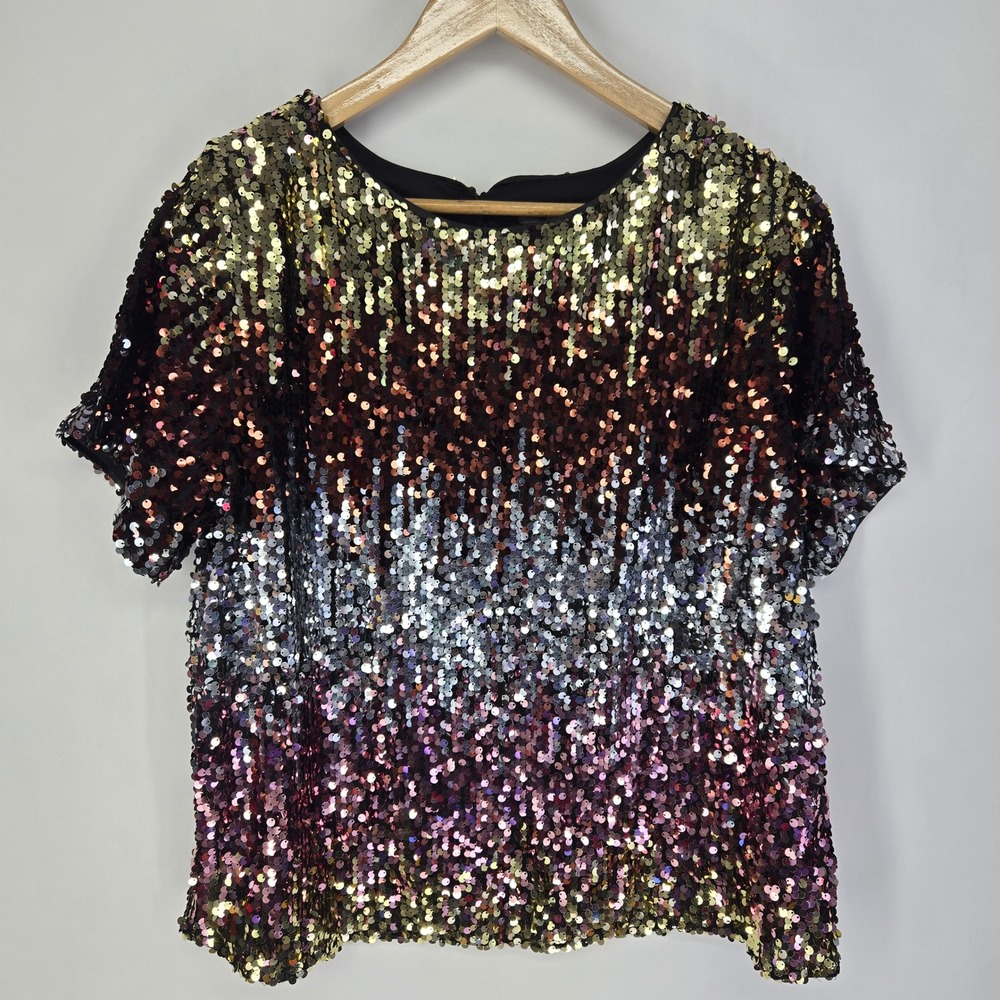 Eva Franco Anthropologie Loretta  Sequin Top Large L Ombre Short Sleeve Blouse